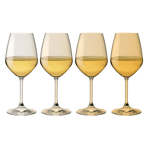 Sunlit White Wine Glasses
